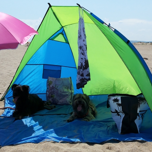 Urlaub Frankreich 2015 (10)